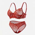Embroidered Mesh Lingerie set Red
