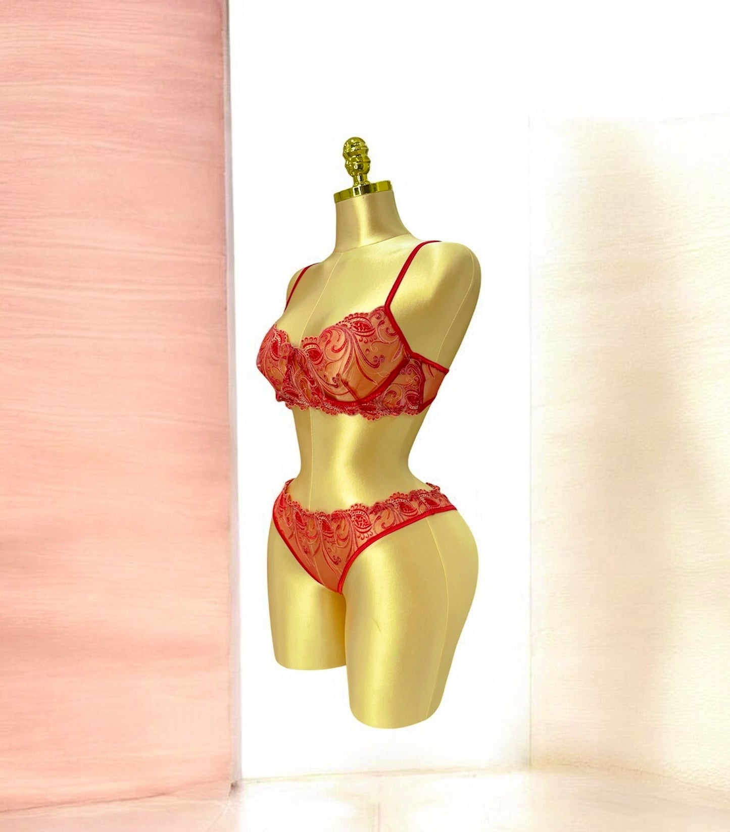 Embroidered Mesh Lingerie set Red