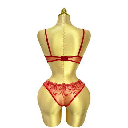 Embroidered Mesh Lingerie set Red